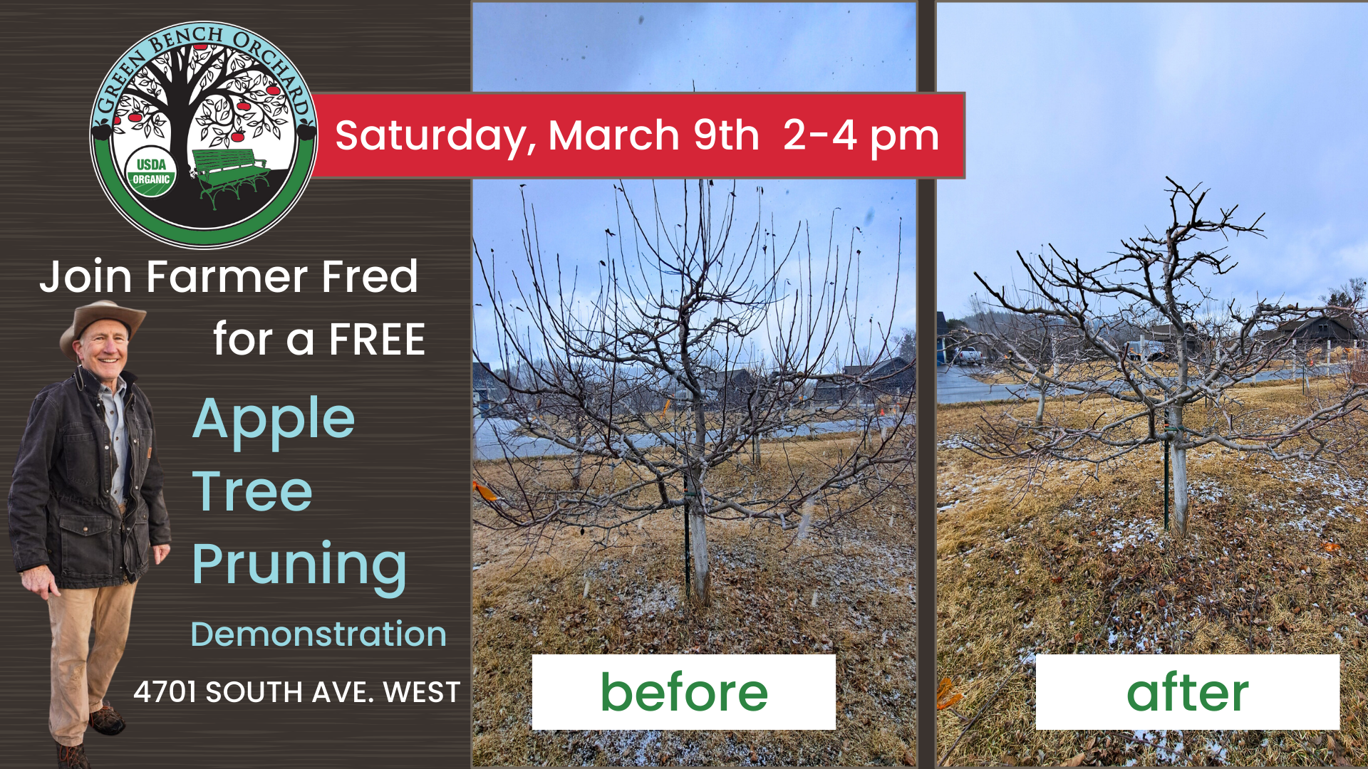 Event Image for Tree Pruning at Green Bench Orchard